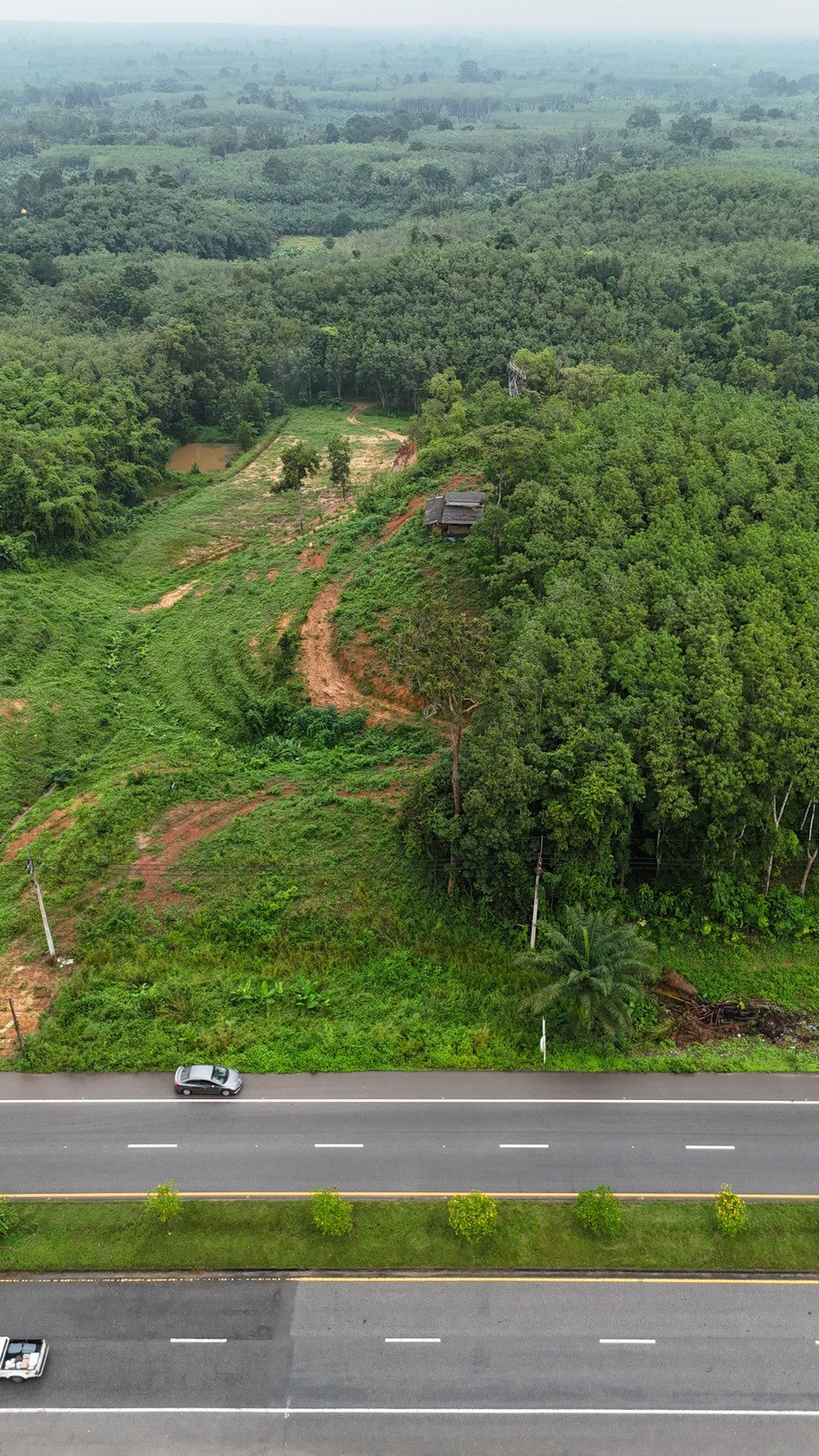 [ขายด่วน] ที่ดินกม 25 3 ไร่ 3 งาน 95.5 ตารางวา