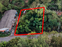 Urgent Sale: Vacant Land in Surat Thani, Soi Chonkasem 48/4, Area 1 Ngarn 05 Tarang Wah