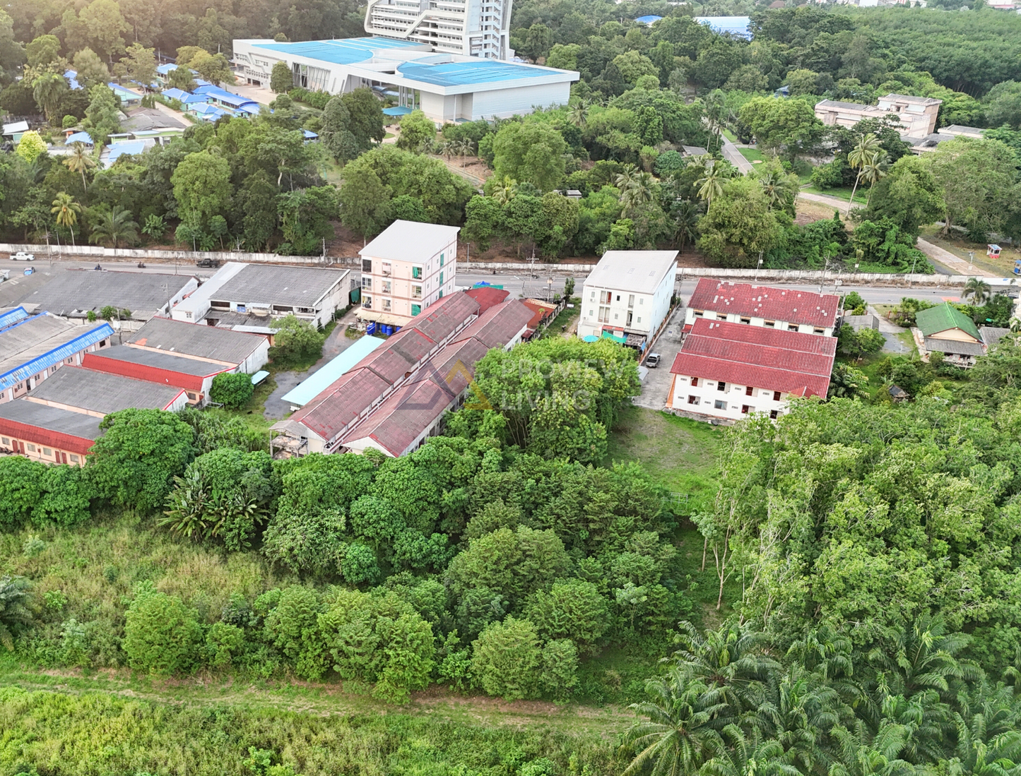 [ขาย] BS-09 ที่ดินขนาด 331.3 ตร.วา ใกล้ ม.ราชภัฏ สุราษฎร์ หน้ากว้าง 8 เมตร ติดถนน เหมาะสำหรับอาคารพาณิชย์หรือให้เช่า