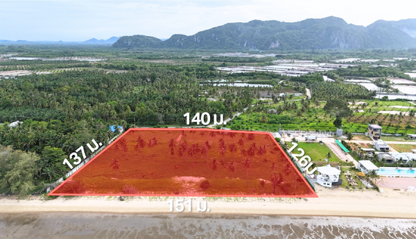 [URGENT SALE!!] 11 Rai beachfront land, panoramic view, suitable for resort-pool villa investment. 151 meter beachfront. T. Wang, A. Thachana, Surat Thani.
