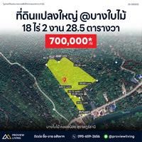 [SALE] BS-07 Land in Bang Bai Mai, near Wat Boon Banterng, a oasis plot, suitable for commercial/residential/project development, size 18 rai (approx.), Surat Thani
