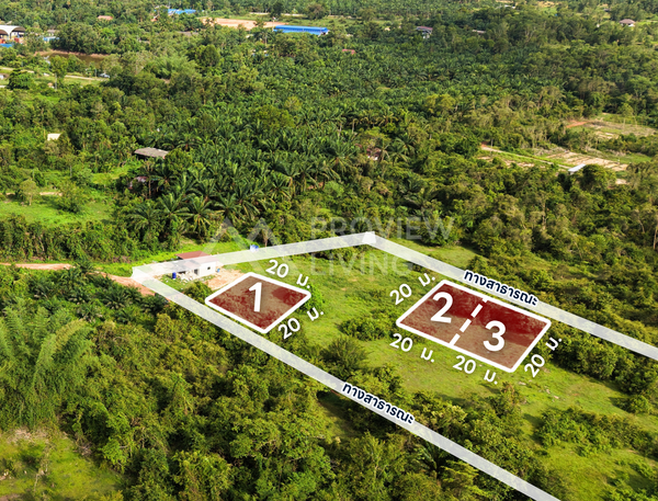 Oil palm plantation for sale, 6 rai @ Bang Baimai Intersection, price 2.XX MB / rai