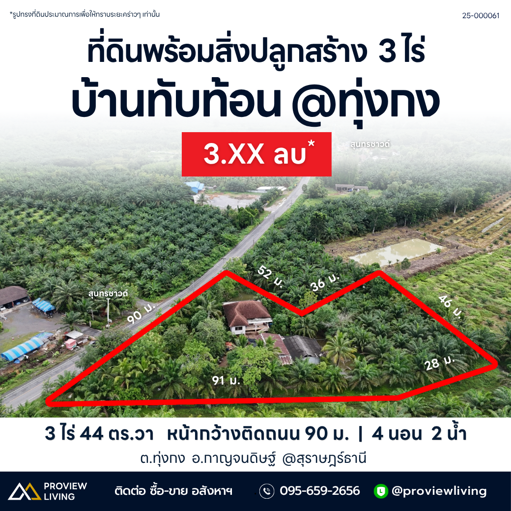 ขายบ้านสวน สุราษฎร์ 3 ไร่ 43.6 ตร.วา พร้อมสวนปาล์ม บ่อน้ำ ตำบลทุ่งกง ราคาเริ่ม 3.5 ล้านบาท