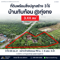 Garden House for Sale, Surat Thani, 3 rai 43.6 sq. wa, with palm plantation, pond, Thung Kong subdistrict, 4 bedrooms, 2 bathrooms