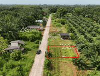 URGENT SALE: Vacant land, Surat Thani, Ban Bang Tha Kham, Phunphin, Khao Hua Khwai, 50 sq. wah. Very close to the train station (2.4 km). Very cheap price.