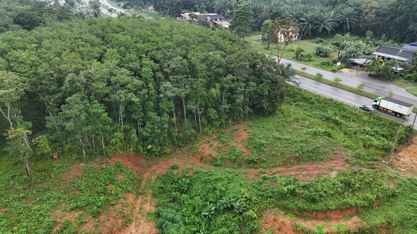 [ขายด่วน] ที่ดินกม 25 3 ไร่ 3 งาน 95.5 ตารางวา