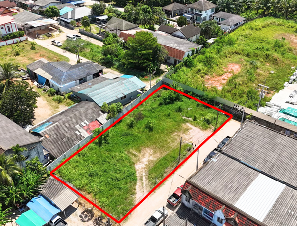 URGENT SALE! Vacant land ready for use in the heart of Phunphin. Size 2 Ngan 29.1 sq. wah. (829.1 sq.m.) 39-meter frontage. Landfilled and ready for development. Near Phunphin Villa and Surat Seafoods Co., Ltd.