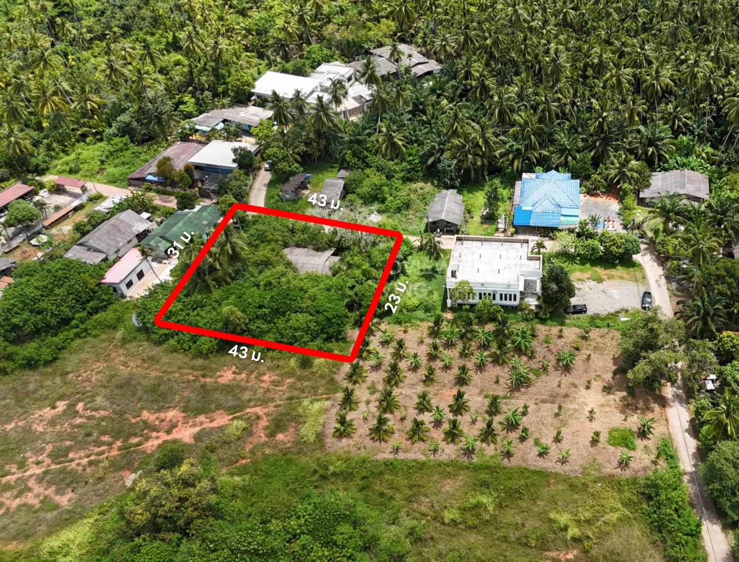 [ขาย] BS-02 ที่ดิน + บ้านเดี่ยว 1 ชั้น ขนาด 274.6 ไร่ ซ.เจริญอุทิศ (ใกล้สึบาเมะ) ใกล้ รพ.สุราษฎร์, เซ็นทรัล, แหล่งชุมชน