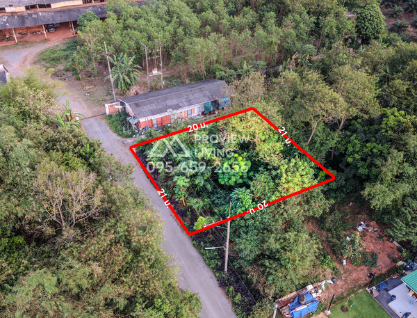 Urgent Sale: Vacant Land in Surat Thani, Soi Chonkasem 48/4, Area 1 Ngarn 05 Tarang Wah