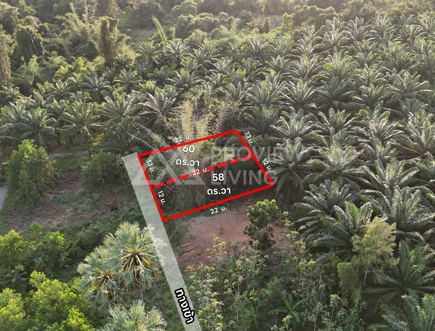 [ขายด่วน] ที่ดินแบ่งล็อก ขนาดเริ่มต้น 57.7 ตร.วา พิกัด วัดโพธิ์ 31 ซอย 11 ราคาเพียง 7.X แสนบาทต่อแปลง