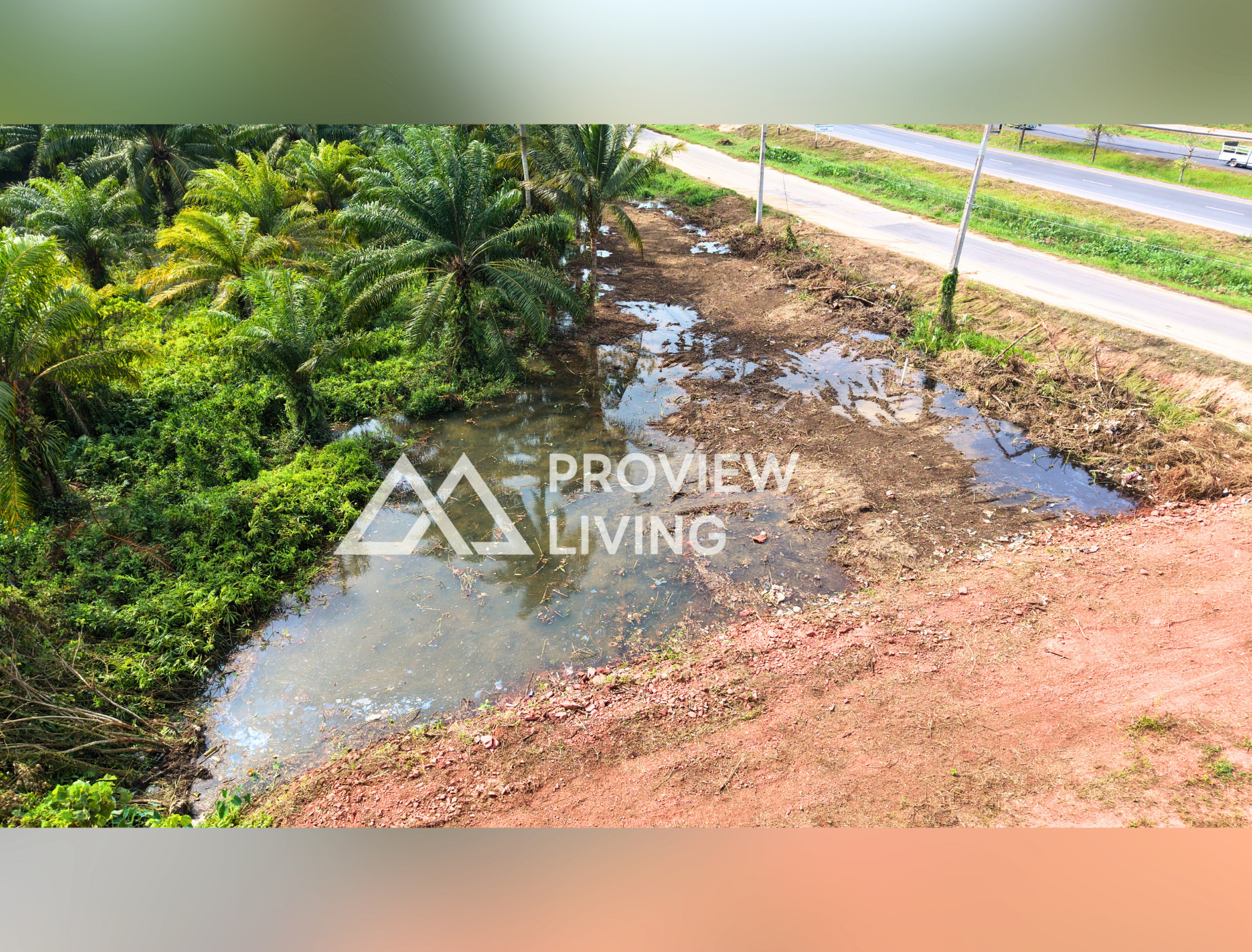 26-000049 ใกล้แยกศรีวิชัย - คลองพุนพิน 26-000049 กว้างติดถนน  29  ม.  ลึก  64  ม. ที่ดินเปล่า 190 ตร.วา