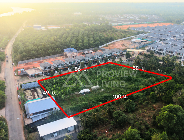 Urgent sale: Vacant land in Surat Thani, near Koh Lamphu, size 3 rai 0 ngan 4.0 sq. wa.