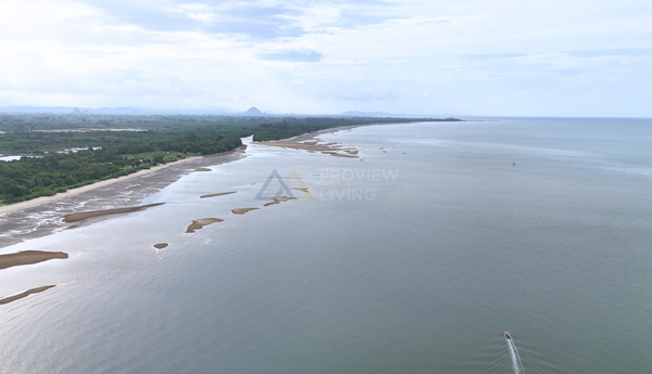 [URGENT SALE!!] 11 Rai beachfront land, panoramic view, suitable for resort-pool villa investment. 151 meter beachfront. T. Wang, A. Thachana, Surat Thani.