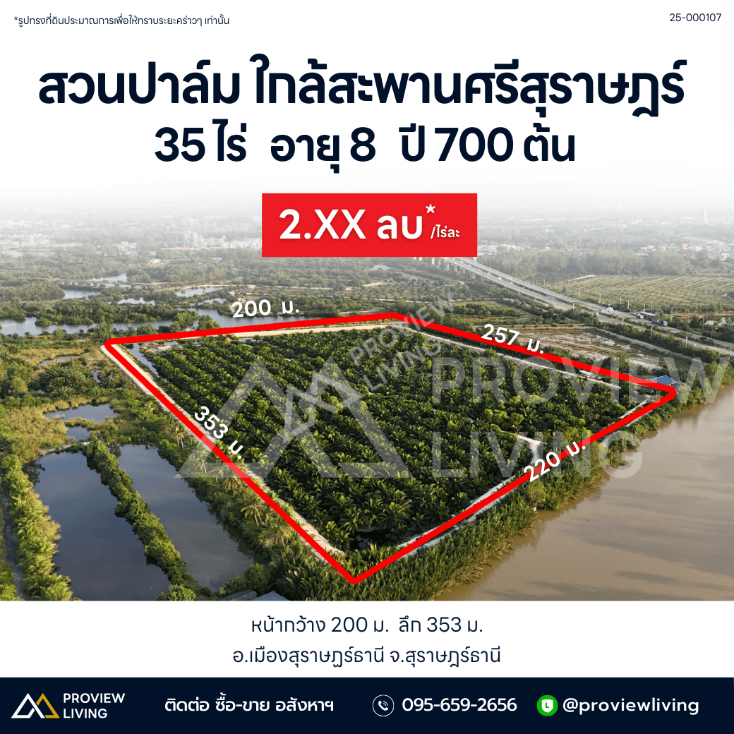 [ขายด่วน] ที่ดินสวนปาล์ม ปาล์มอายุ 8 ปี 700 ต้น ขนาด 35 ไร่ ใกล้สะพานศรีสุราษฏร์ แปลงสวย ติดคลองสะบ้าย้อย คลองฉนาก สุราษฎร์ธานี