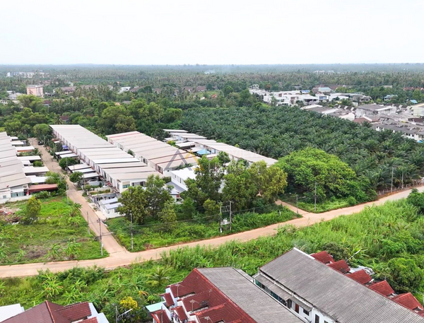 [For Sale] BS-08 Land plots for sale, 3 plots available, starting from 2.43 million baht. Suitable for housing development, Srivichai 16, BS-08, Surat Thani.