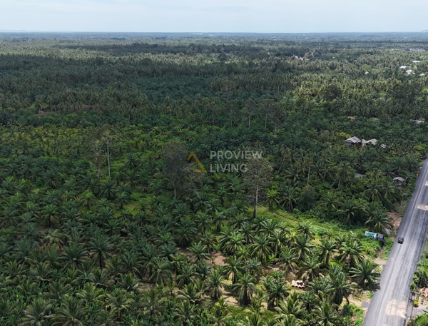 [SALE] BS-07 Land in Bang Bai Mai, near Wat Boon Banterng, a oasis plot, suitable for commercial/residential/project development, size 18 rai (approx.), Surat Thani