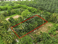 Urgent sale: Land in Surat Thani, 1 rai, in Soi Tha Rong Chang 23, 700 meters from Wat Somwang.