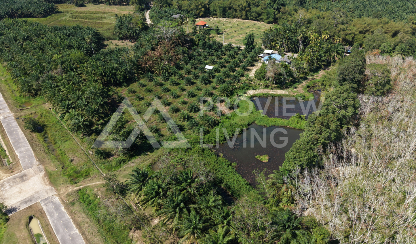 [ขายด่วน] ที่ดินติดคลองคลองไชยา 3 ไร่ 3 งาน 81.0 ตารางวา ราคา 780,000 เท่านั้น