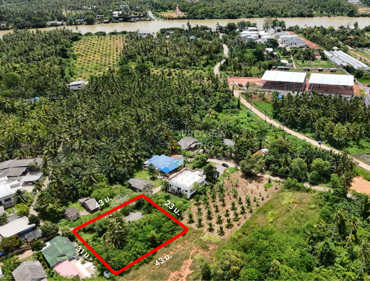 [ขาย] BS-02 ที่ดิน + บ้านเดี่ยว 1 ชั้น ขนาด 274.6 ไร่ ซ.เจริญอุทิศ (ใกล้สึบาเมะ) ใกล้ รพ.สุราษฎร์, เซ็นทรัล, แหล่งชุมชน