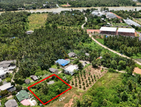 [FOR SALE] BS-02 Land + Single-story house, 274.6 rai, Soi Charoen Uthit (near Tsubame), near Suratthani Hospital, Central Plaza, community area