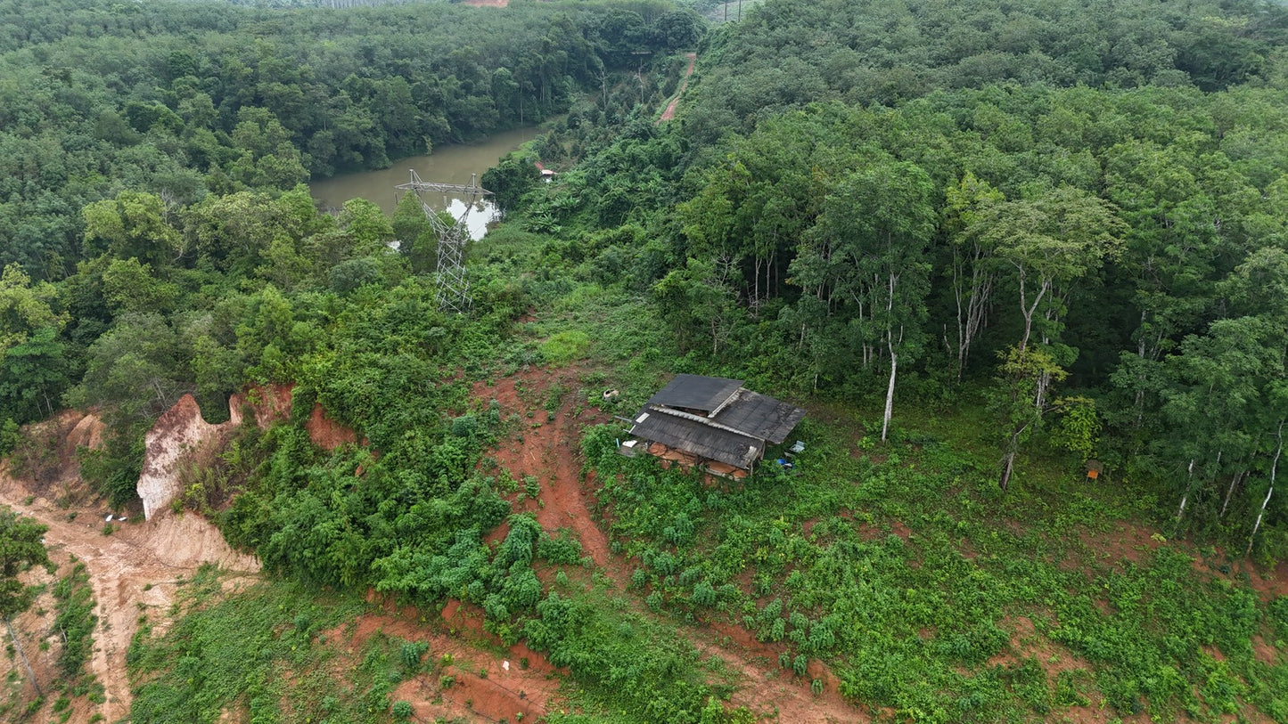 [ขายด่วน] ที่ดินกม 25 3 ไร่ 3 งาน 95.5 ตารางวา