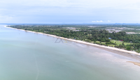[URGENT SALE!!] 11 Rai beachfront land, panoramic view, suitable for resort-pool villa investment. 151 meter beachfront. T. Wang, A. Thachana, Surat Thani.