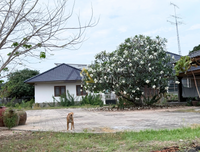 [For Sale] Land + Apartment Building with 20 rooms, area 1 rai 1 ngan 48 sq. wah, Bang Saen, Wat Bang Peng, Bang Saen District, Chonburi Province