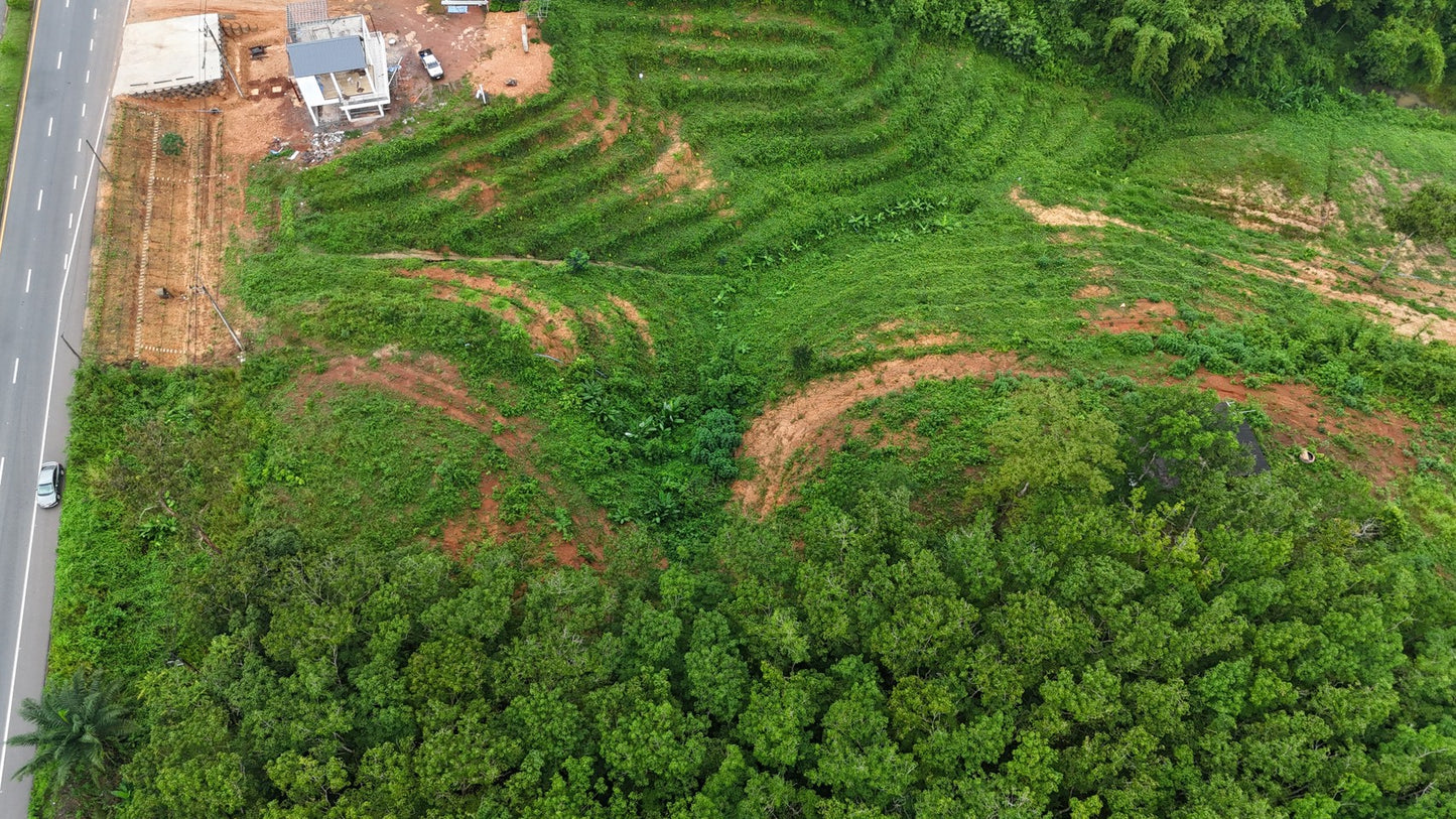 [ขายด่วน] ที่ดินกม 25 3 ไร่ 3 งาน 95.5 ตารางวา