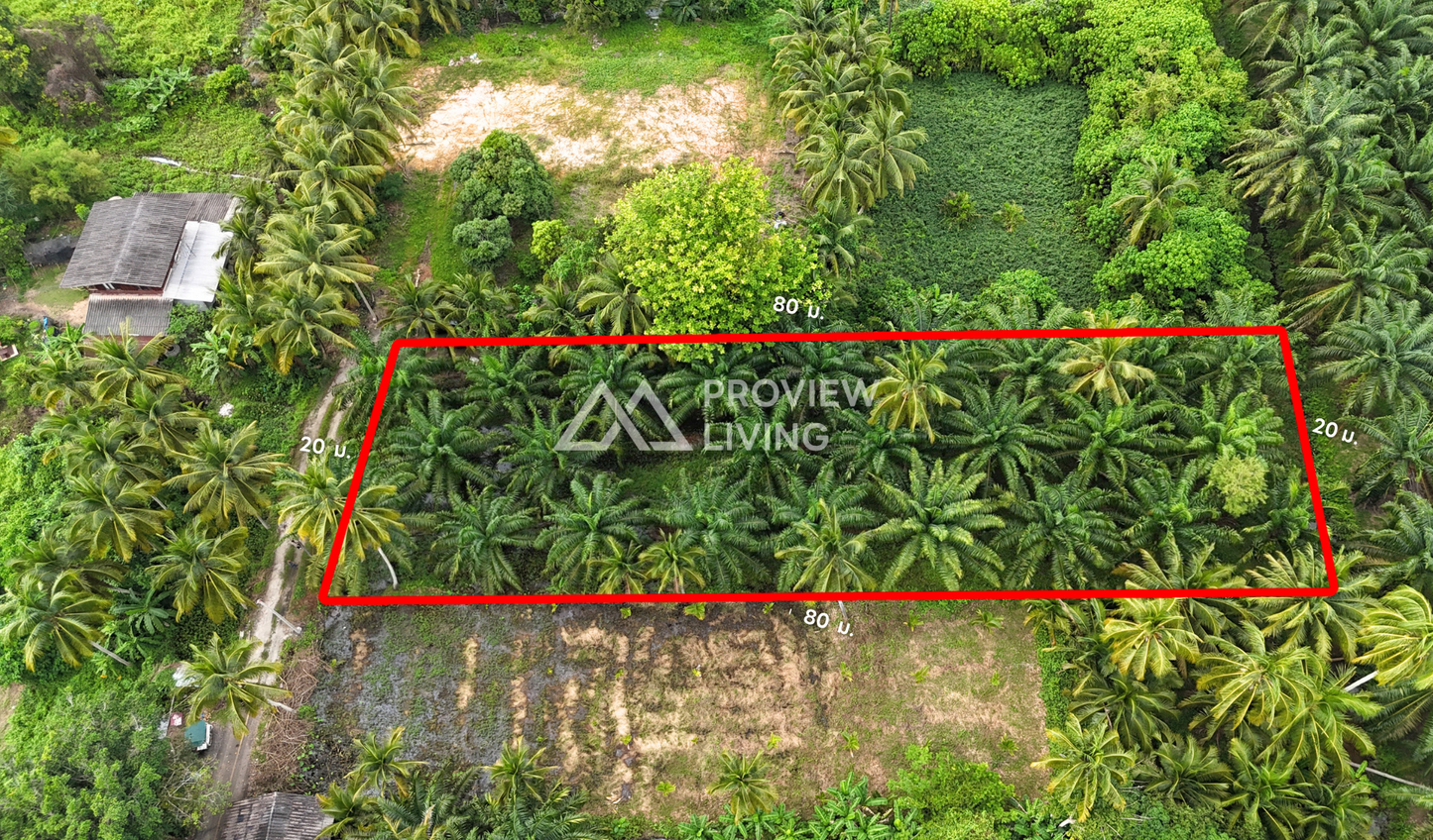 [ขายด่วน] ที่ดิน 1 ไร่ ในซอยท่าโรงช้าง 23 ใกล้วัดสมหวัง 700 เมตร ราคา 3.XX ลบ.