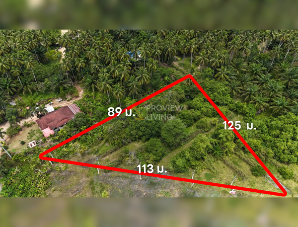 [For Sale] BS-05 Beautiful triangular plot of land on the way to Surat Thani Airport. 113 m. frontage, 3 rai, Khlong Noi.