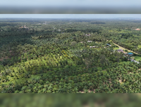 [SALE] BS-07 Land in Bang Bai Mai, near Wat Boon Banterng, a oasis plot, suitable for commercial/residential/project development, size 18 rai (approx.), Surat Thani