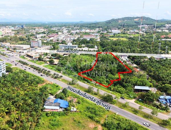 ขายที่ดิน 5 ไร่ ติดถนน 2 ด้าน ราคา 14.X ล้านบาท / ไร่ ใกล้ Central Suratthani @วัดประดู่