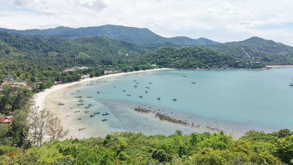 Resort Business for Sale · 14 Rooms · Koh Phangan Buddha Ruksa Resort · 16.5 MB