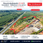 ขายที่ดินถมแล้ว พร้อมสิ่งปลูกสร้าง 37-3-82 ไร่ ติดเอเชีย 41 - ใกล้สี่แยกควนรา 2.3 กม. @ท่าฉาง ไร่ละ 2.X ล้านบาท