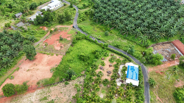Urgent sale! 1 rai of filled land in Surat Thani city, Wat Pho 31 Soi 6 (Nang Aen Resort Soi).