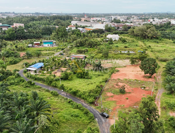 Urgent sale! 1 rai of filled land in Surat Thani city, Wat Pho 31 Soi 6 (Nang Aen Resort Soi).