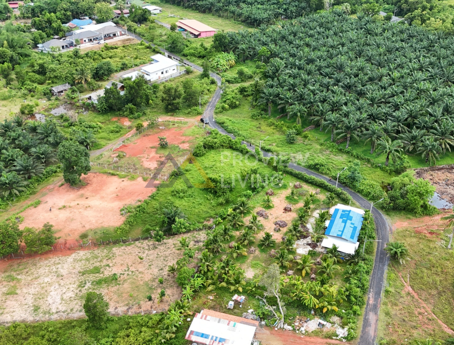 [ขายด่วน] ที่ดินเปล่าถมแล้ว 1 ไร่ ทำเลเมืองสุราษฎร์ธานี วัดโพธิ์ 31 ซอย 6 (ซอยนางแอ่นรีสอร์ท)