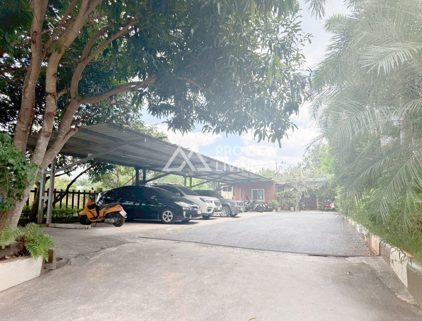 [ขายด่วน] หอพักนักศึกษา ซอยปากหมา ราชภัฎสุราษฎร์ธานี ผู้เช่าเต็มทั้งปี ขนาด 195.30 ตร.ว. มีทั้งหมด 19 ห้องพัก พร้อมห้องน้ำในตัวทุกห้อง