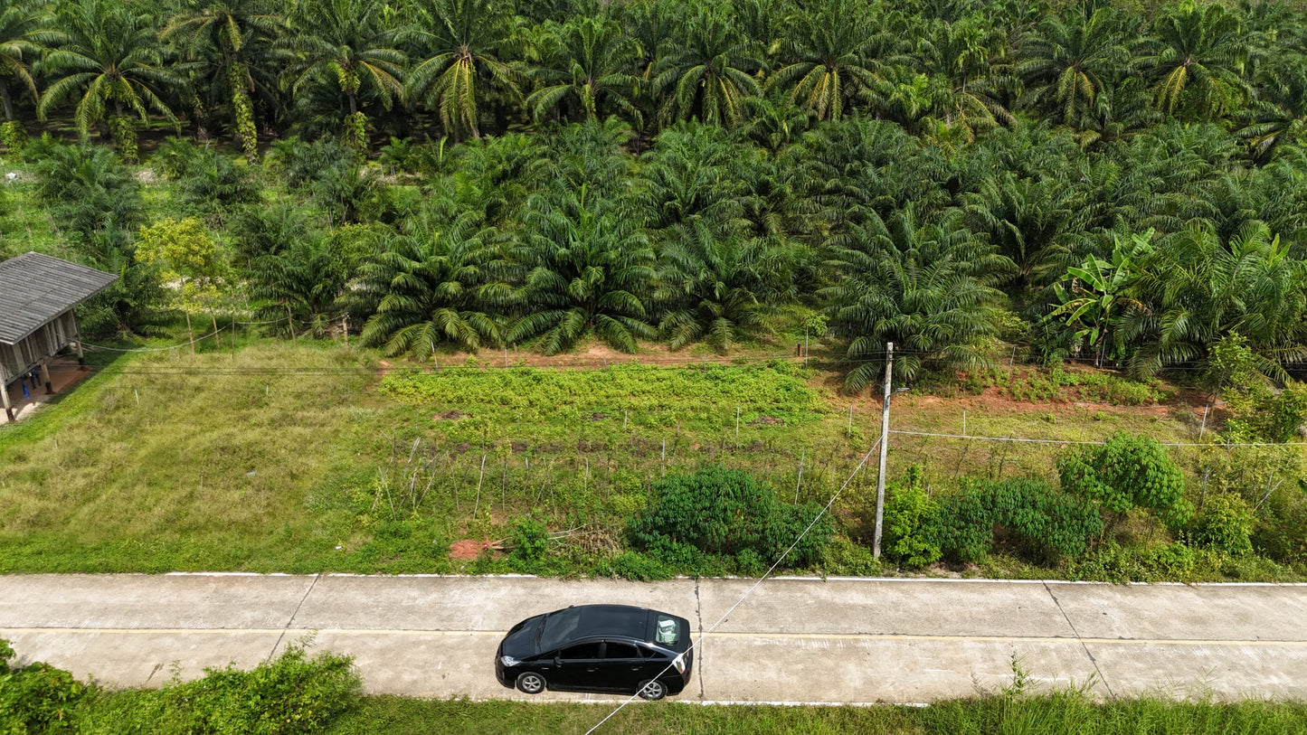 [ขายด่วน] ที่ดินเปล่า ท่าข้ามพุนพิน49.9ตารางวา