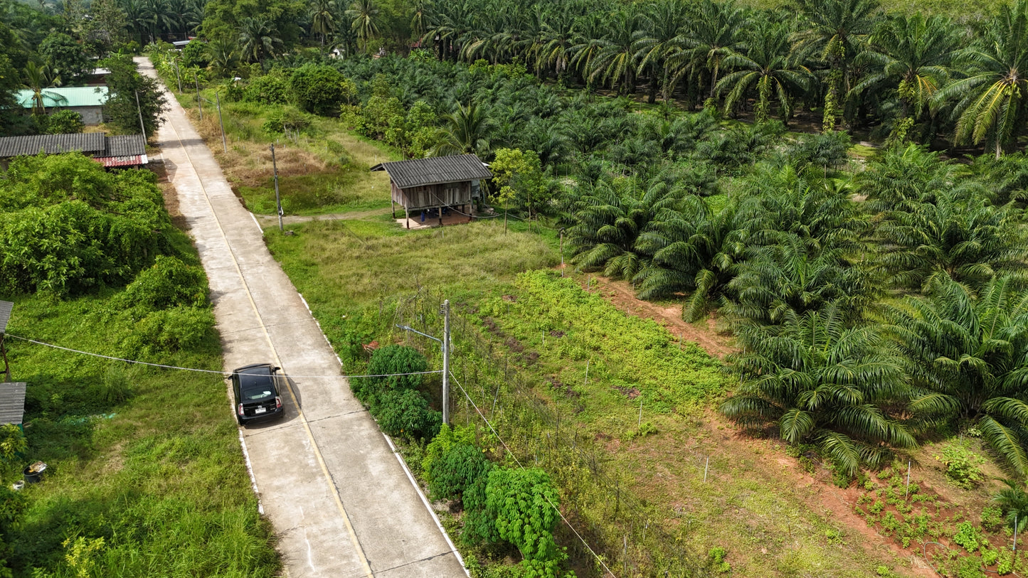 [ขายด่วน] ที่ดินเปล่า ท่าข้ามพุนพิน49.9ตารางวา