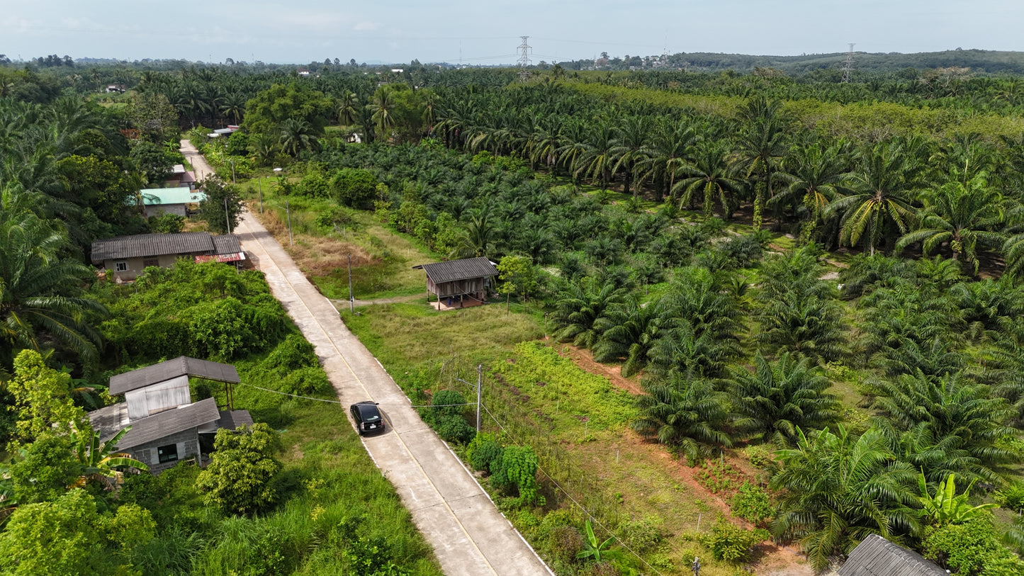 [ขายด่วน] ที่ดินเปล่า ท่าข้ามพุนพิน49.9ตารางวา