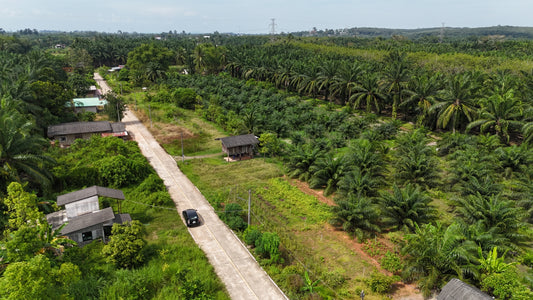 [ขายด่วน] ที่ดินเปล่า ท่าข้ามพุนพิน49.9ตารางวา