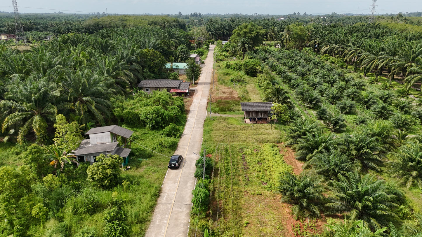 [ขายด่วน] ที่ดินเปล่า ท่าข้ามพุนพิน49.9ตารางวา