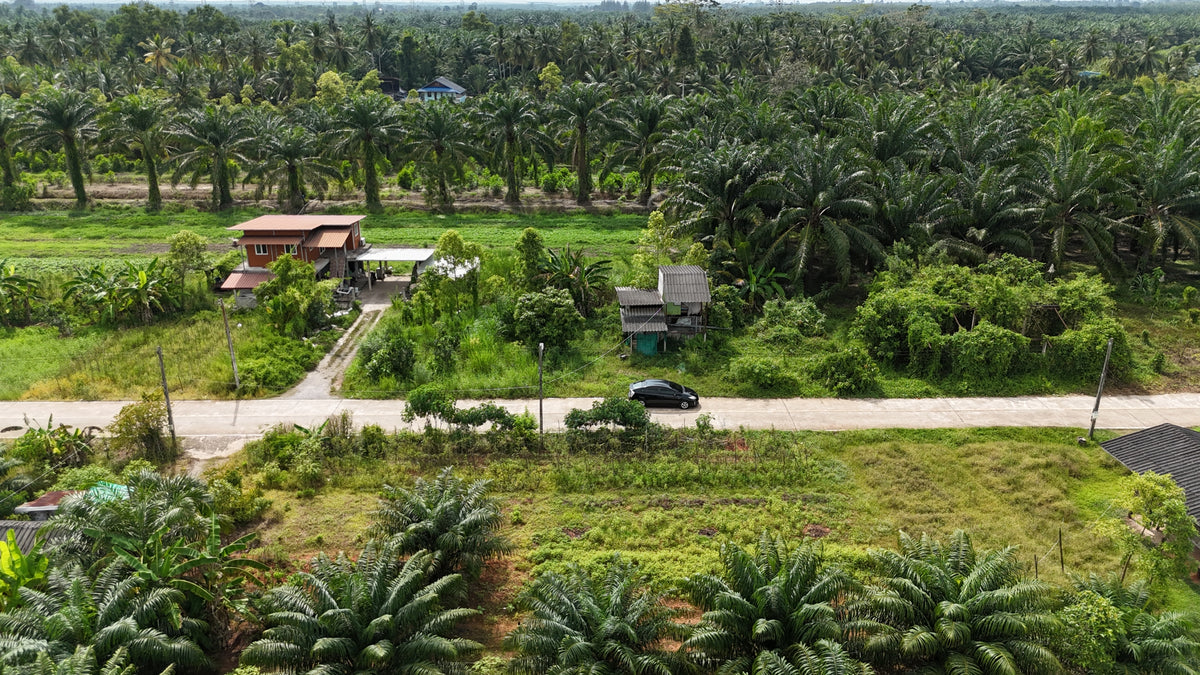 [ขายด่วน] ที่ดินเปล่า ท่าข้ามพุนพิน49.9ตารางวา