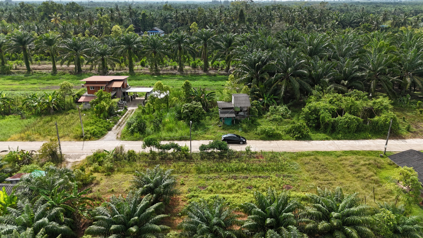 [ขายด่วน] ที่ดินเปล่า ท่าข้ามพุนพิน49.9ตารางวา