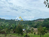 Urgent sale! Vacant land in Surat Thani, Koh Samui, 24 rai, Mae Nam subdistrict. Near To Ruea Waterfall, near Wat Phukhao Thong, and near Khun Si Waterfall. Only 3.5 million baht per rai!!