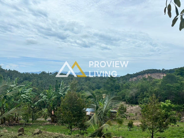 Urgent sale! Vacant land in Surat Thani, Koh Samui, 24 rai, Mae Nam subdistrict. Near To Ruea Waterfall, near Wat Phukhao Thong, and near Khun Si Waterfall. Only 3.5 million baht per rai!!