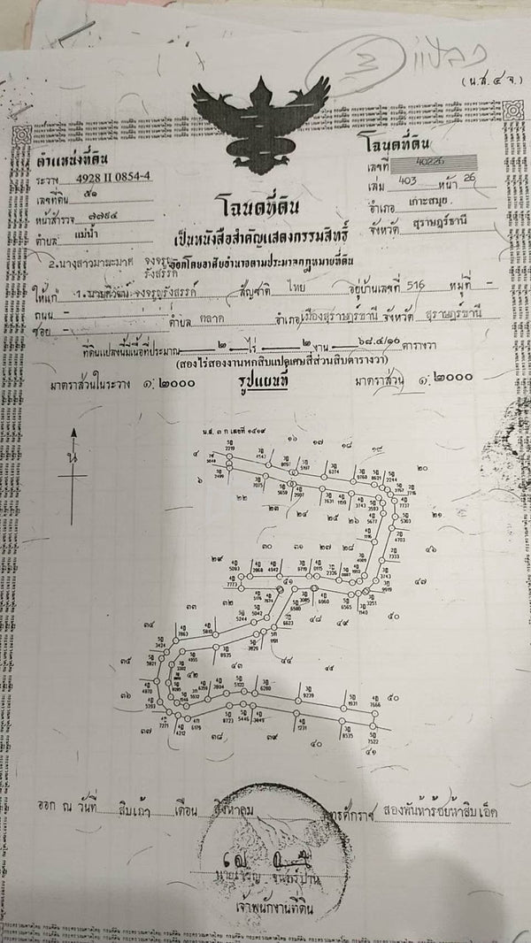 Urgent sale! Vacant land in Surat Thani, Koh Samui, 24 rai, Mae Nam subdistrict. Near To Ruea Waterfall, near Wat Phukhao Thong, and near Khun Si Waterfall. Only 3.5 million baht per rai!!