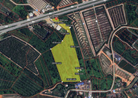 Vacant land for sale in Surat Thani, near Blue & White Distribution Center, Surat Thani. 28 rai, 3 ngan, 92.5 sq. wah.