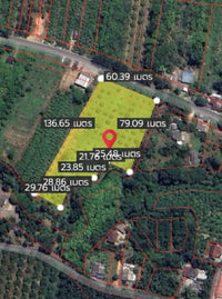 ขายสวนทุเรียน กาญจนดิษฐ์ สุราษฎร์ธานี | 4 ไร่ 2 งาน 77.4 ตร.วา ใกล้โรงเรียนบ้านห้วยด่าน